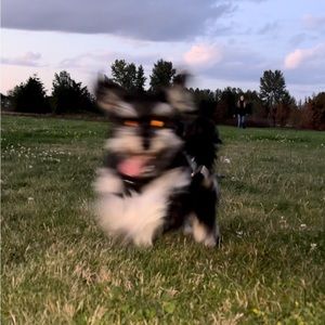 Meet your Posher, Karla